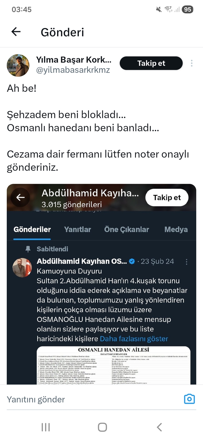 Çocuk gibi engelleyen insanlara ne denir? Bence buyuyemis ergenler?