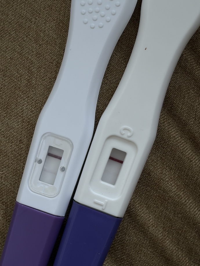 Ovülasyon testi pozitifken idrar testi silik çıktı, hamilelik belirtisi mi yaşayan var mı?