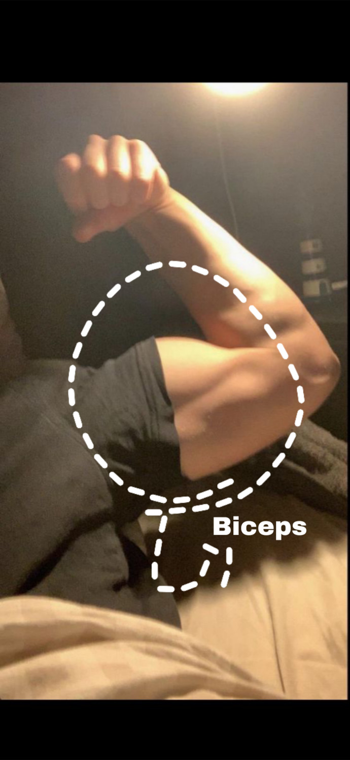 Biceps ne demek acaba?