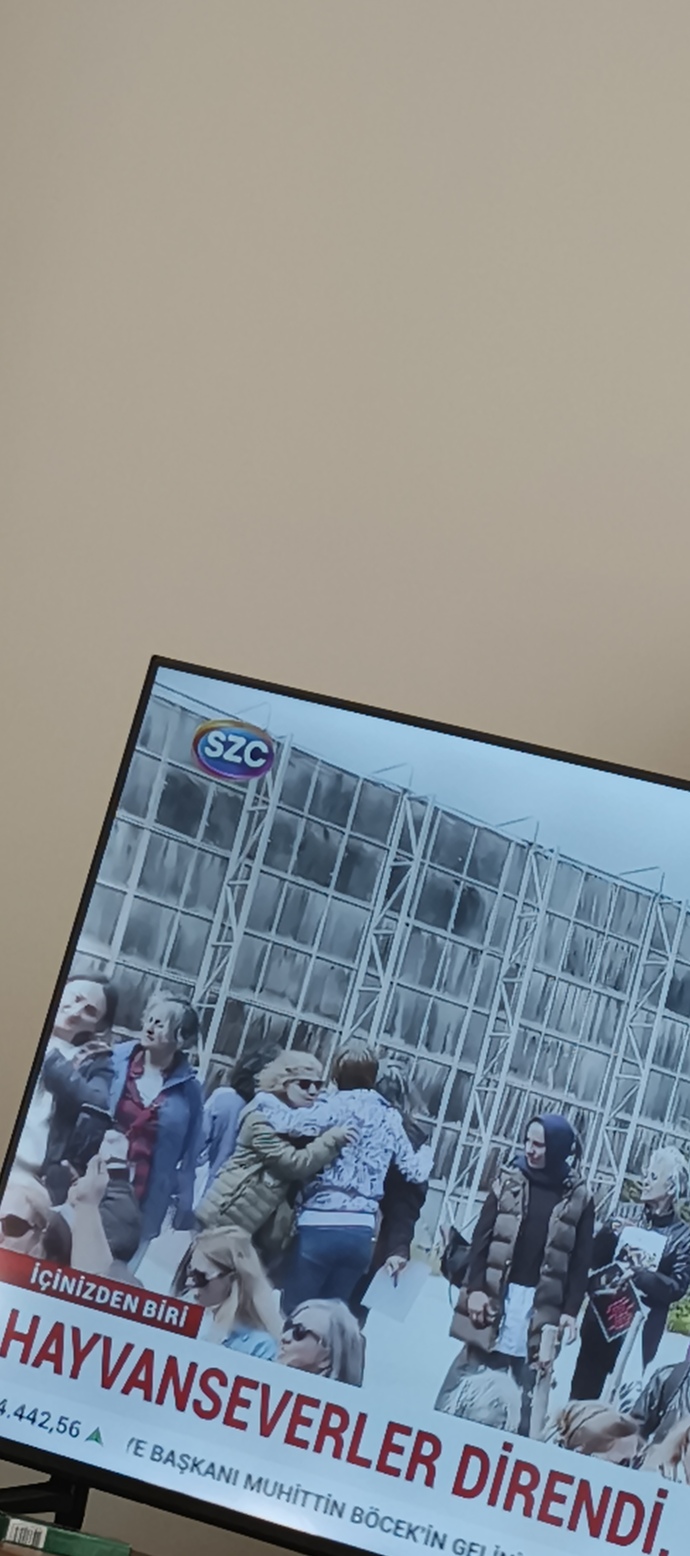 Erkeklere soru: sizi tek hareketiyle büyüleyen kadın davranışları nelerdir?