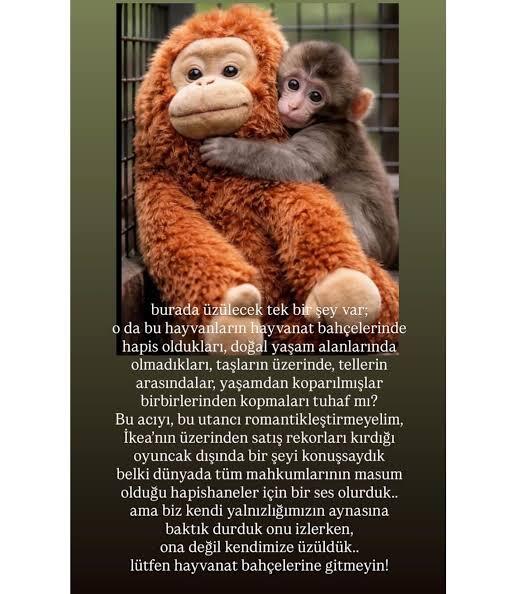 Bu hayvanın tatlılığı şaka mııığ?