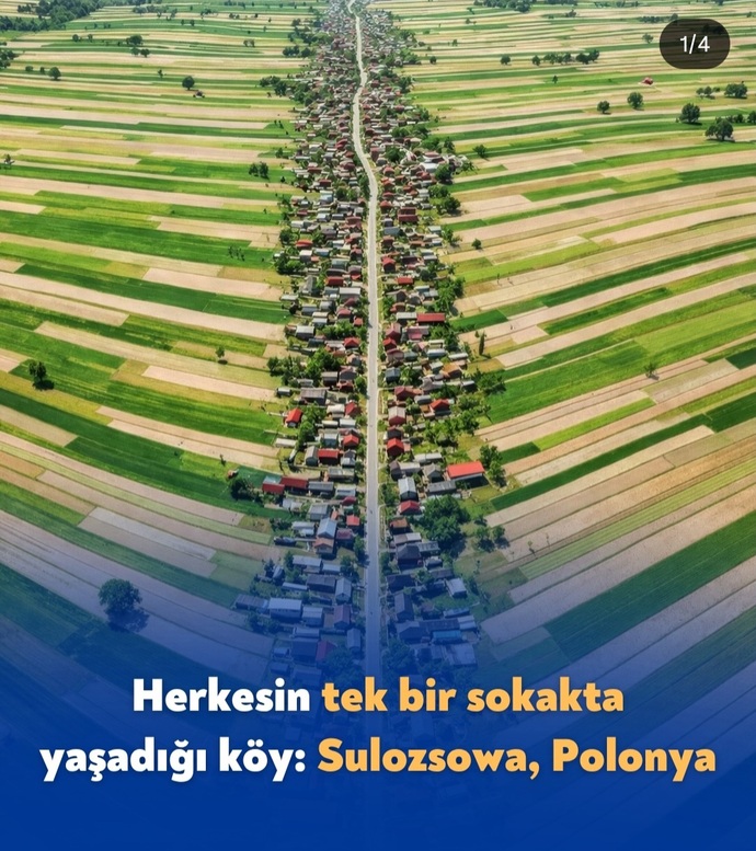 Yatay mimari mi dikey mimari mi daha yaşanılır, siz nasıl bir evde yaşamak isterdiniz?