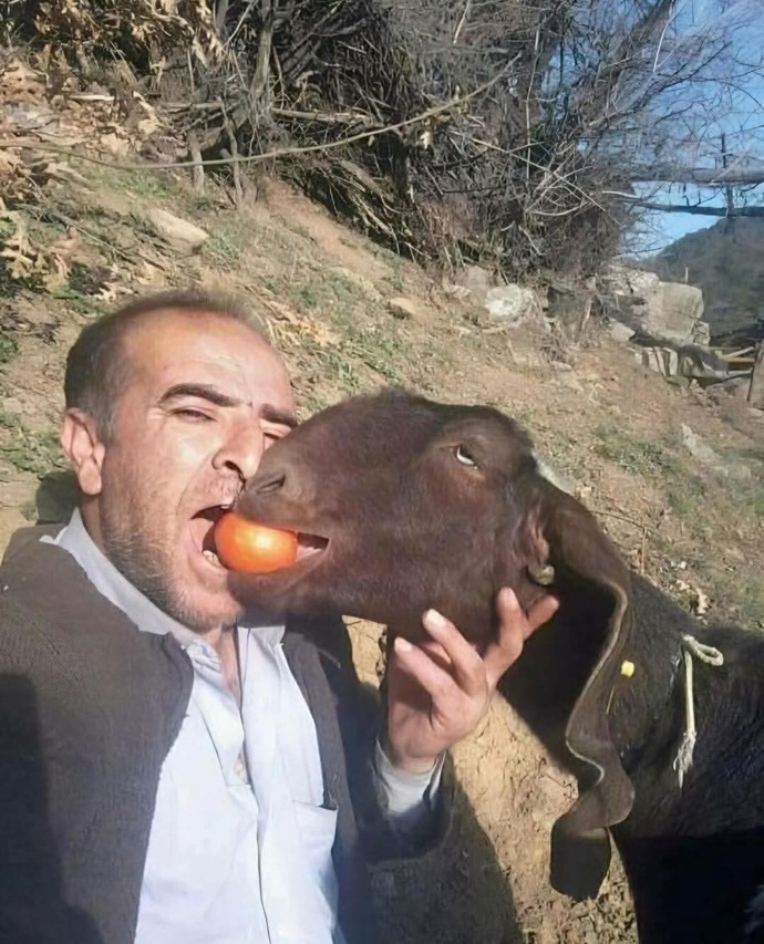 Sevgiliniz hesabı ödemeden kaçsa ne yapardınız?
