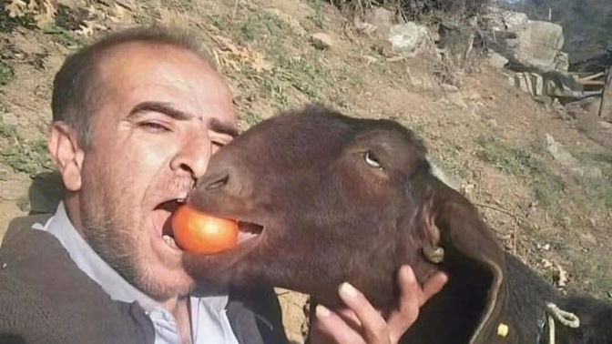 Sevgiliniz hesabı ödemeden kaçsa ne yapardınız?