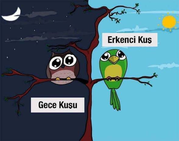 İş hayatın da, erkenci kuş musun gece kuşu musun?