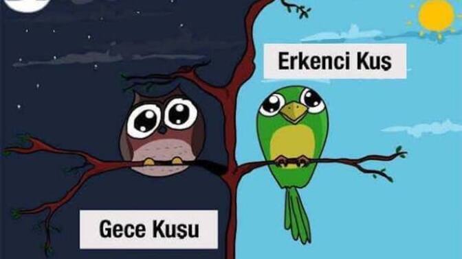 İş hayatın da, erkenci kuş musun gece kuşu musun?