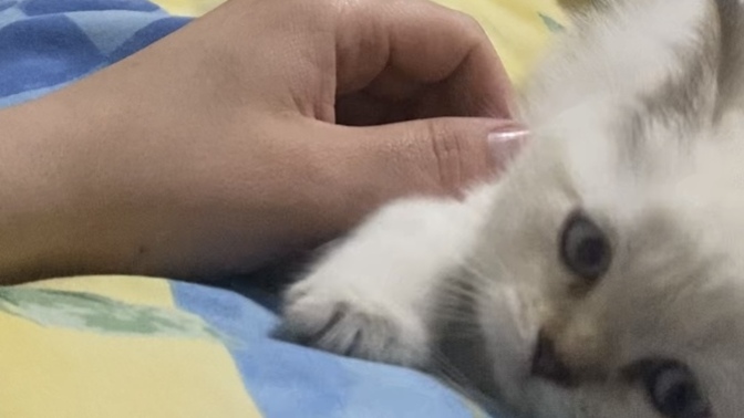 Bu saatte napıyorsunuz ya?