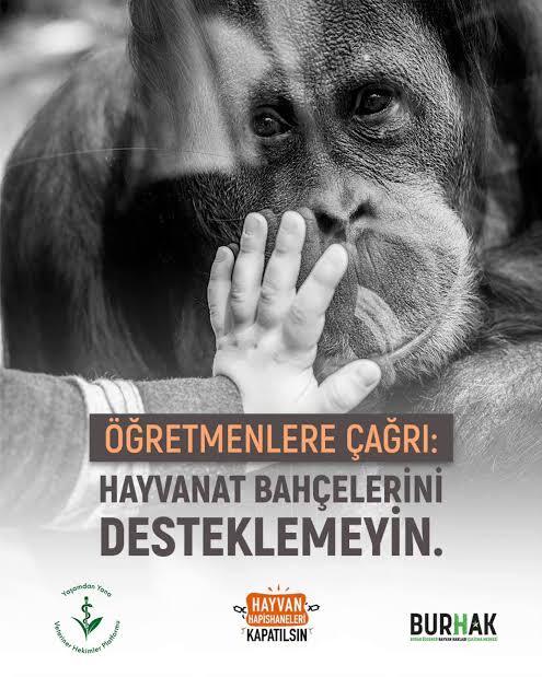 Millet lütfen bu dediklerime dikkat edermisiniz?