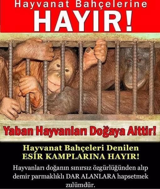 Millet lütfen bu dediklerime dikkat edermisiniz?