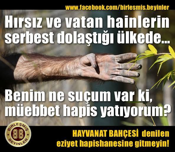 Millet lütfen bu dediklerime dikkat edermisiniz?