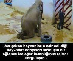 Millet lütfen bu dediklerime dikkat edermisiniz?