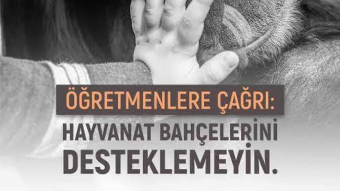 Millet lütfen bu dediklerime dikkat edermisiniz?