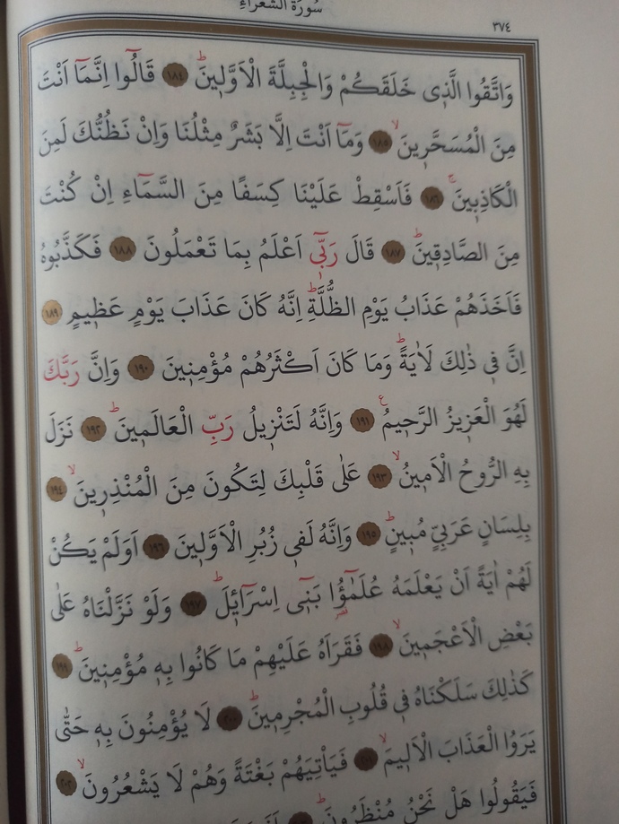 İyi akşamlar napıyosunuz?