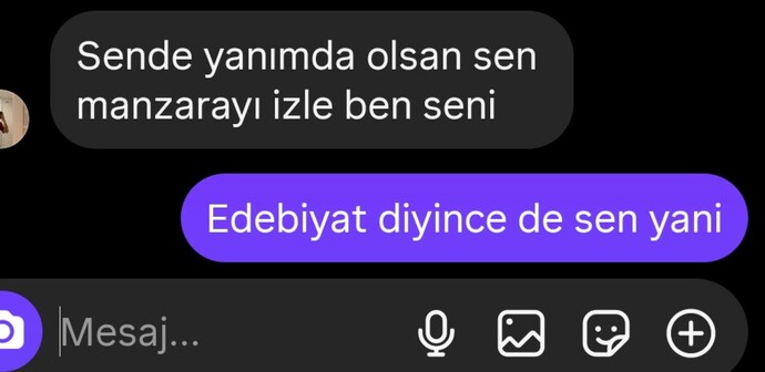 Edebiyat yapan erkekten olur mu?