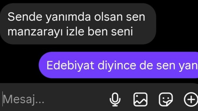 Edebiyat yapan erkekten olur mu?