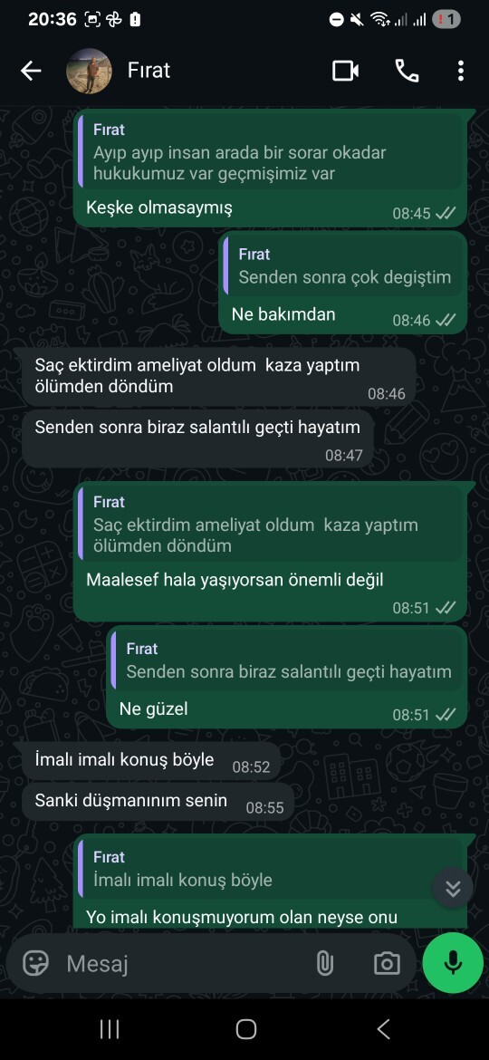 Eski sevgilim yazdı, ben biraz ileri gittim, şimdi ne yapmalıyım sizce?