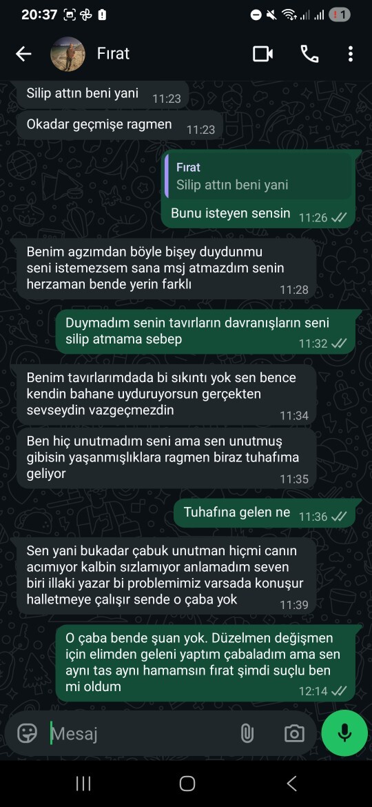 Eski sevgilim yazdı, ben biraz ileri gittim, şimdi ne yapmalıyım sizce?