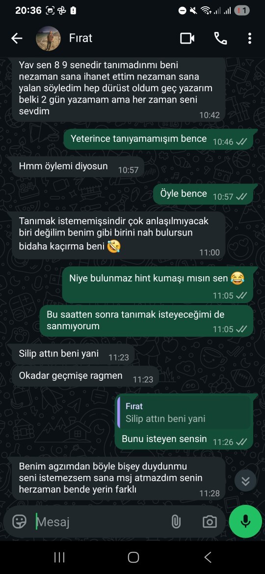 Eski sevgilim yazdı, ben biraz ileri gittim, şimdi ne yapmalıyım sizce?