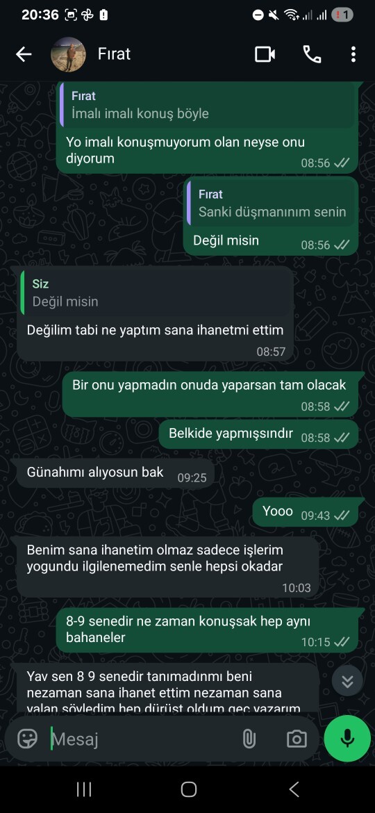 Eski sevgilim yazdı, ben biraz ileri gittim, şimdi ne yapmalıyım sizce?