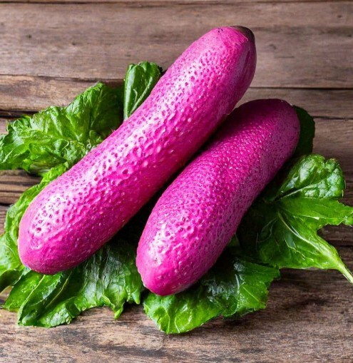 Pembe salatalık mı, siyah salatalık mı?