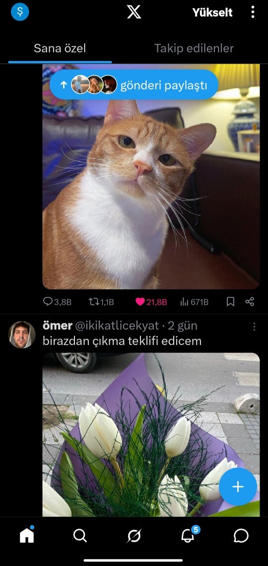 X neden bu kadar güzel?