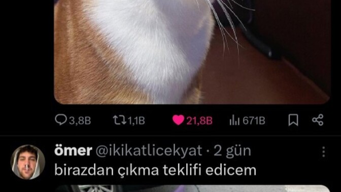 X neden bu kadar güzel?