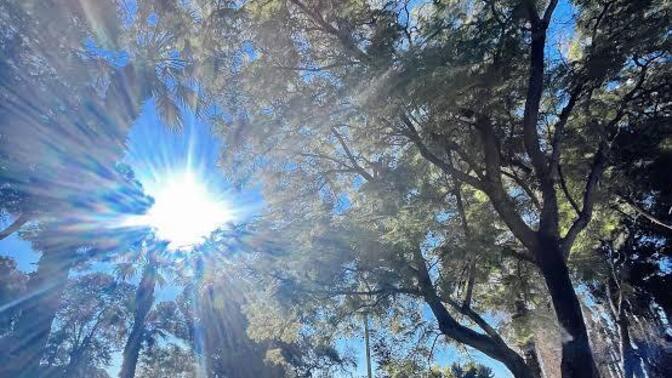 Hava güzel uyandiniz mi?
