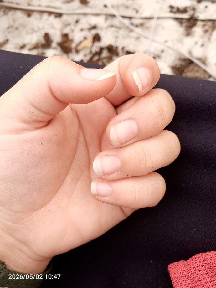 Aralıksız çalışmak iyi mi yoksa kendine eziyet mi?