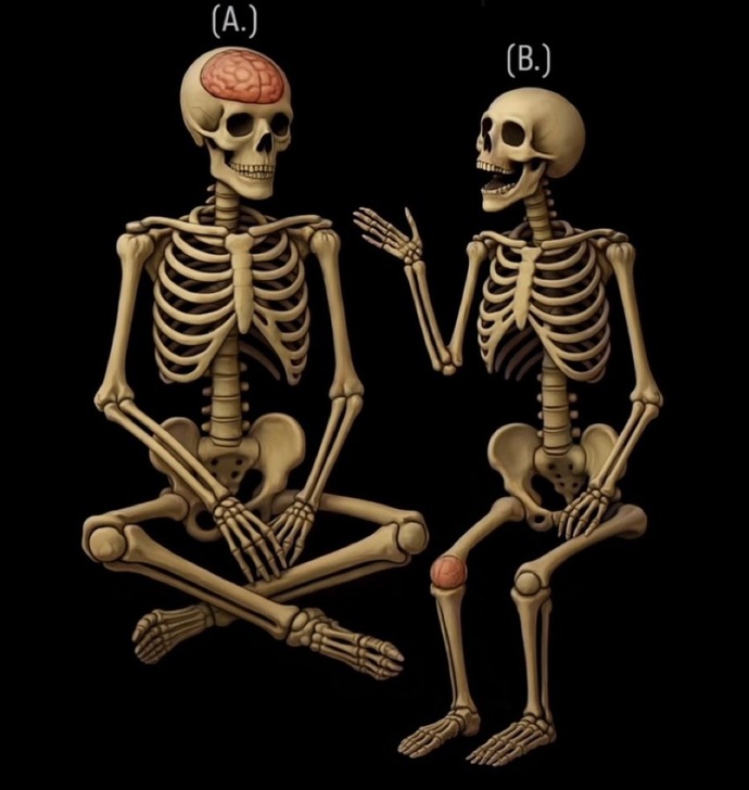 İskeletlerin kadın mı yoksa erkek mi olduğunu nasıl anlarsınız?