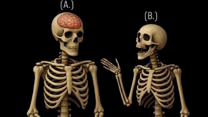 İskeletlerin kadın mı yoksa erkek mi olduğunu nasıl anlarsınız?