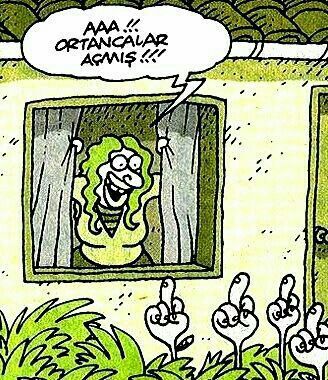 Hey guys ne haber, sizde de gün doğup ortancalar açınca böyle mutlu mood oluyor mu?