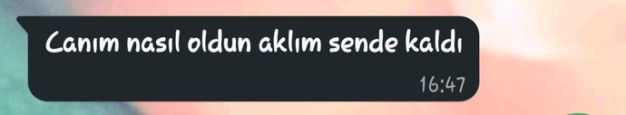 Size gelen en son mesaj neydi?
