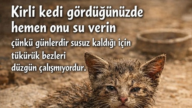 Lütfen resimde denileni yaparmısınız?