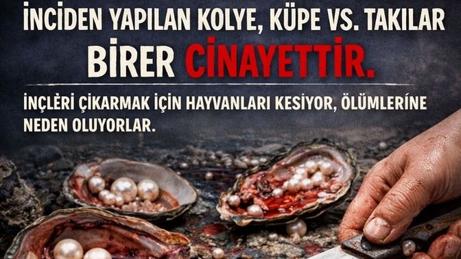 Lütfen buna dikkat edermisiniz?