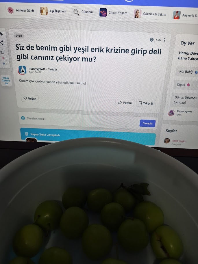 Siz de benim gibi yeşil erik krizine girip deli gibi canınız çekiyor mu?