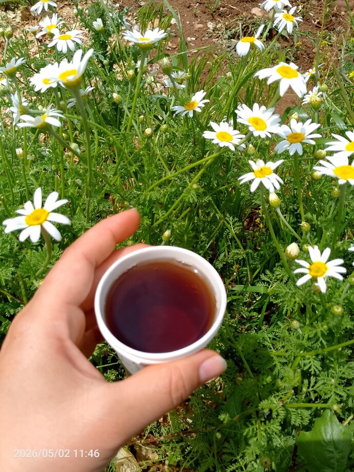 Benimle çay içer misiniz?