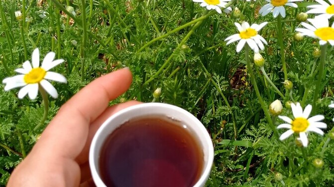 Benimle çay içer misiniz?