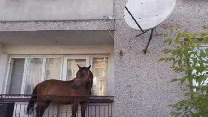 Pazar günü erken mi kalkılır akşama kadar yatılır mı?