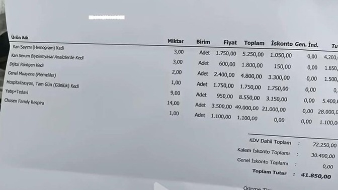 Sokakta bulduğu hasta kediyi tedavi ettirdi. Veteriner faturası 41 bin lira tuttu. Siz tedavi ettir miydiniz?