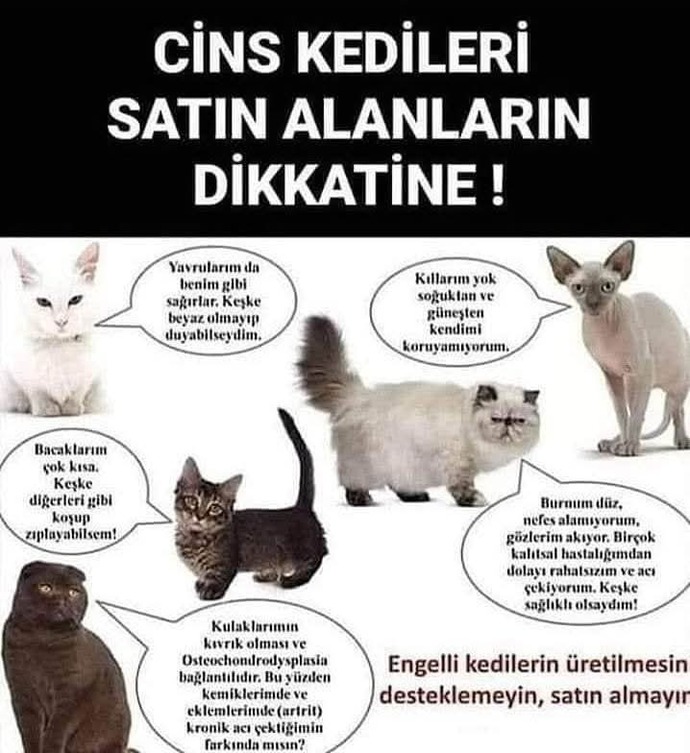 Bunlara dikkat etseniz iyi olmazmı?