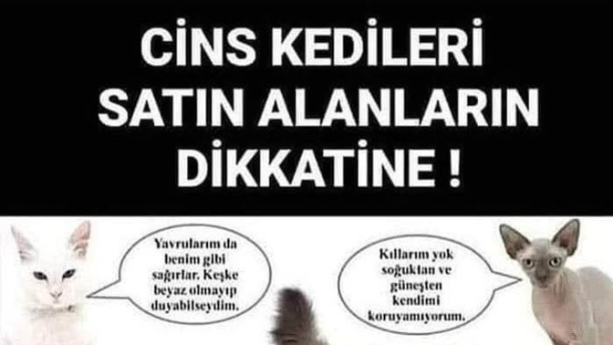 Bunlara dikkat etseniz iyi olmazmı?