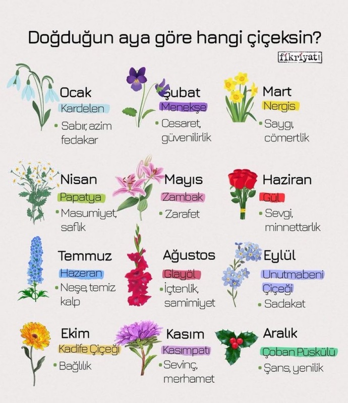 Doğduğun aya göre hangi çiçeksin?