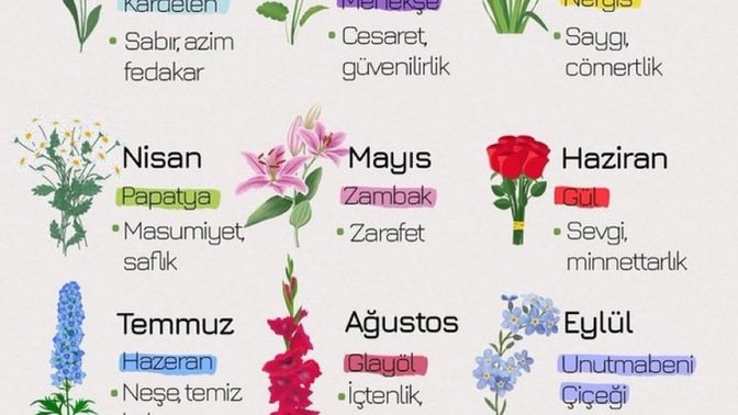 Doğduğun aya göre hangi çiçeksin?