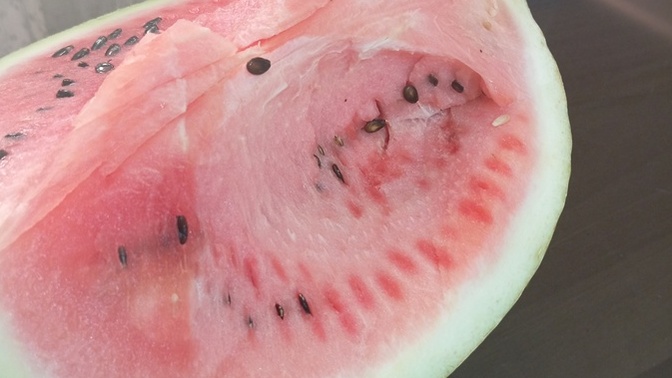 Karpuz seçerken neden sürekli kabak çıkıyor, tatlı ve olgun karpuz nasıl anlaşılır?