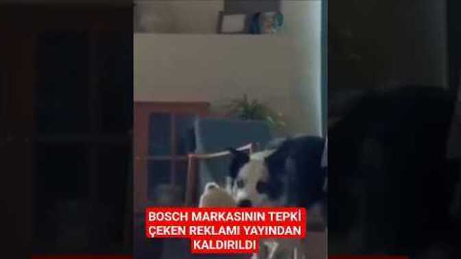 Ünlü bir markanın anneler günü "köpek annesi" reklamı yayından kaldırıldı Konu hakkındaki düşünceleriniz neler?
