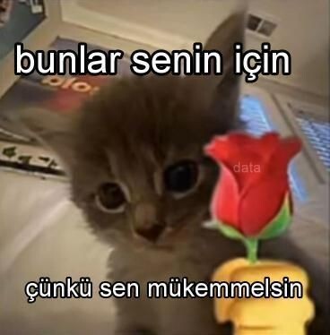 Dış kanal parası pahalı mı sizce?