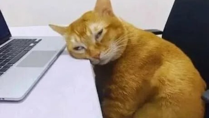 Hiç sevmediğin o sohbet konusu ne?