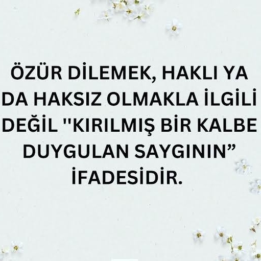 Haklı olsanızda özür diler misiniz?