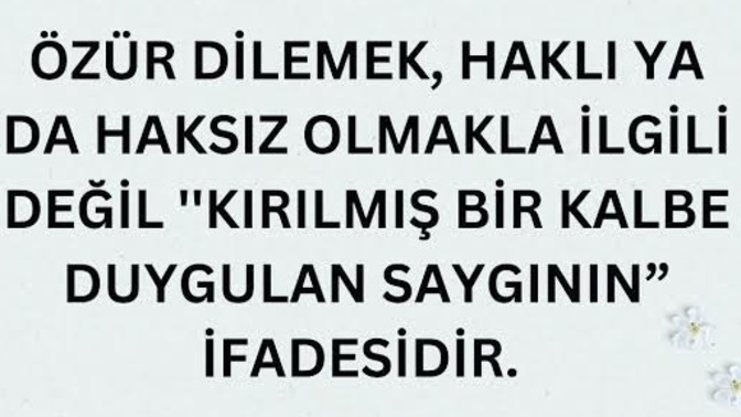 Haklı olsanızda özür diler misiniz?