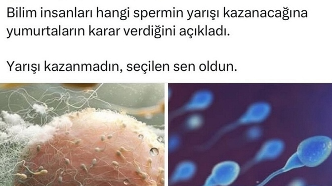 Yanii şimdi cinsiyeti anne mi belirlemiş oluyor?